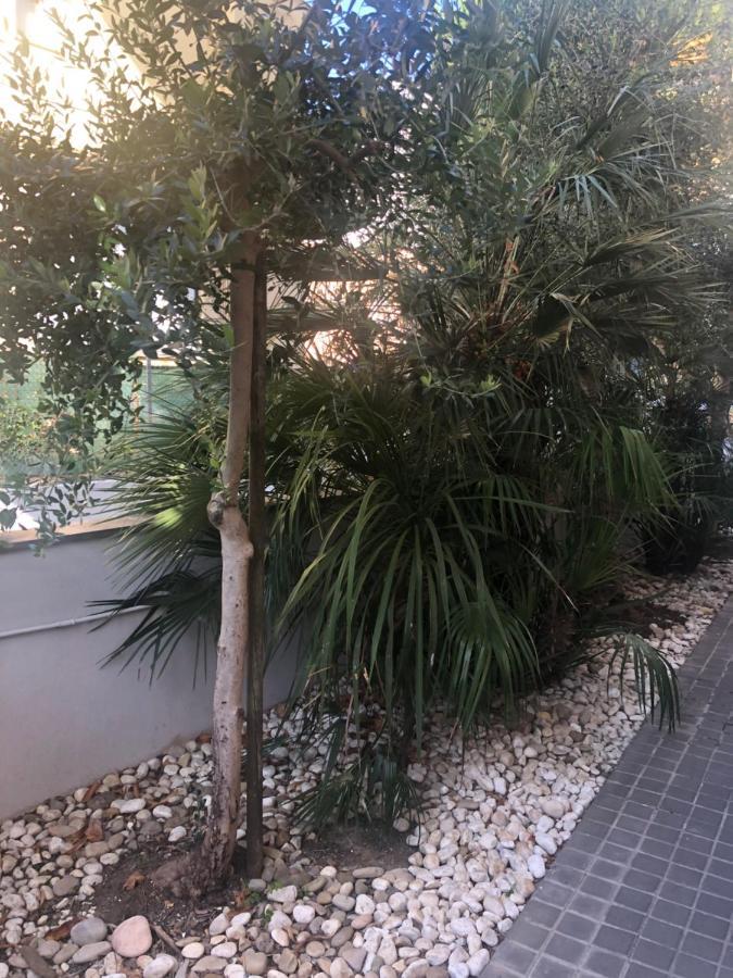 A Casa Minerva Appartement Rimini Buitenkant foto