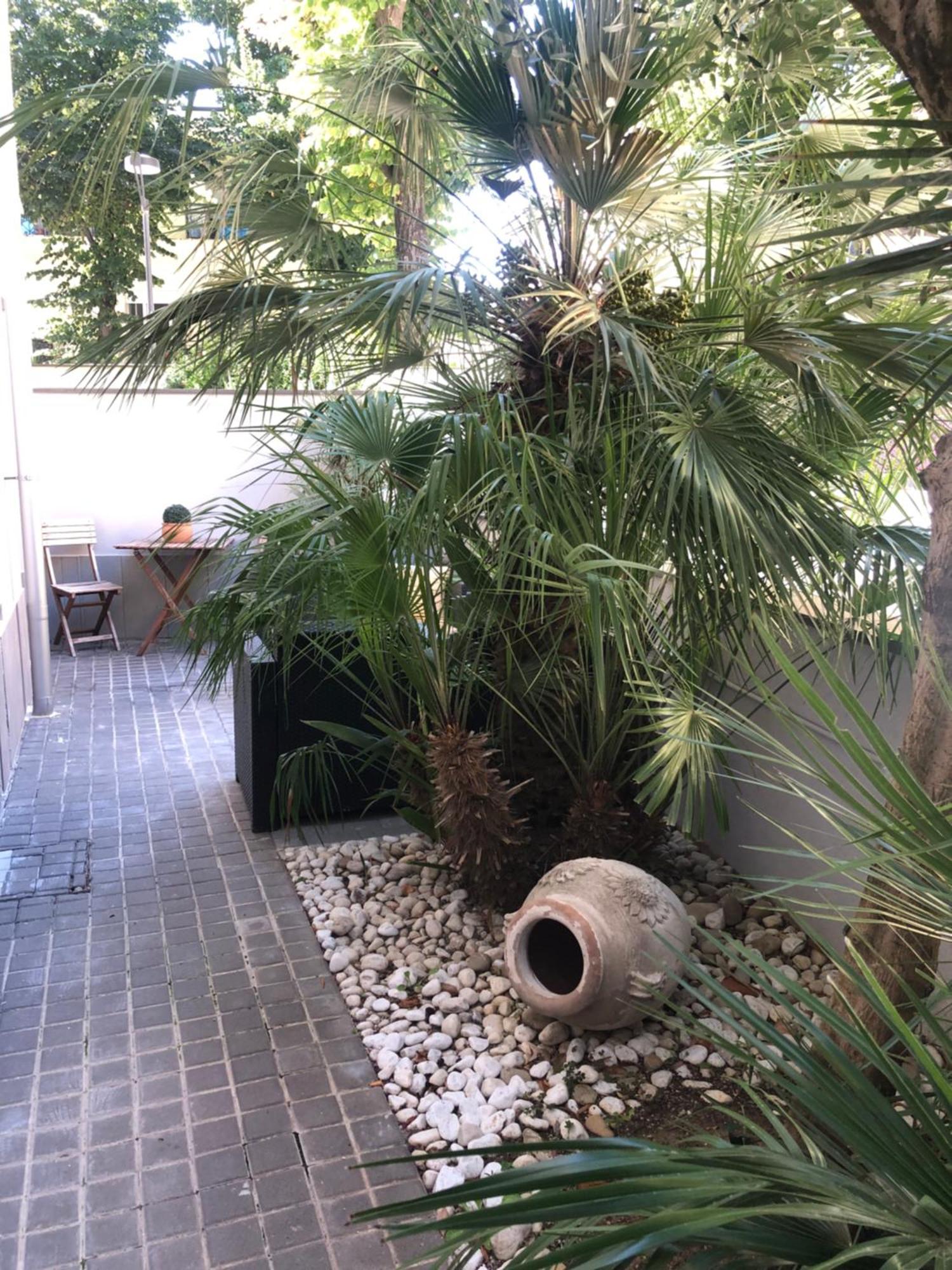 A Casa Minerva Appartement Rimini Buitenkant foto